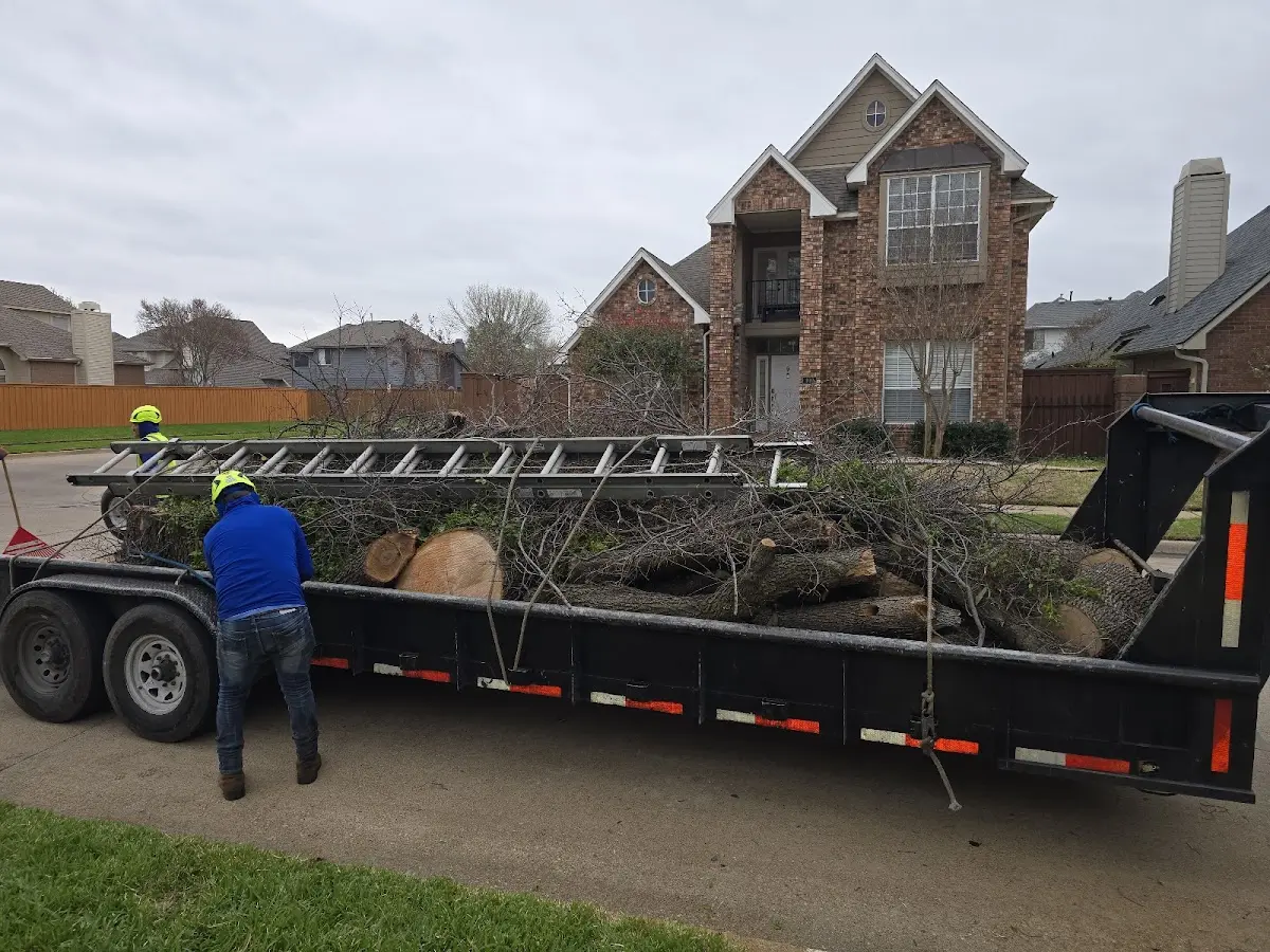 Expert Lot Clearing with proper safety equipment in Puposky